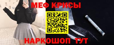 гашик Моздок
