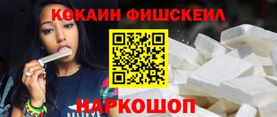 гашик Моздок