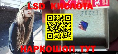 гашик Моздок