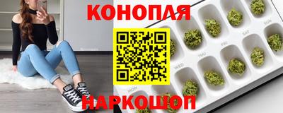 гашик Моздок