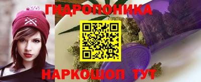 гашик Моздок