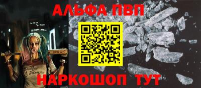 гашик Моздок