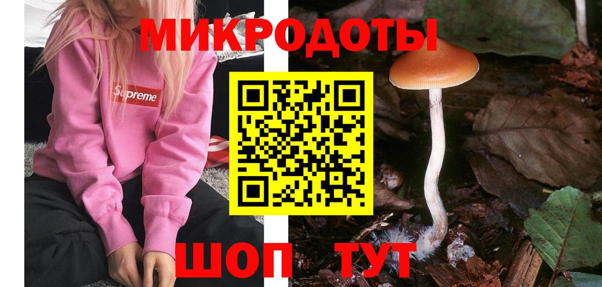 Псилоцибиновые грибы Psilocybine cubensis Зима