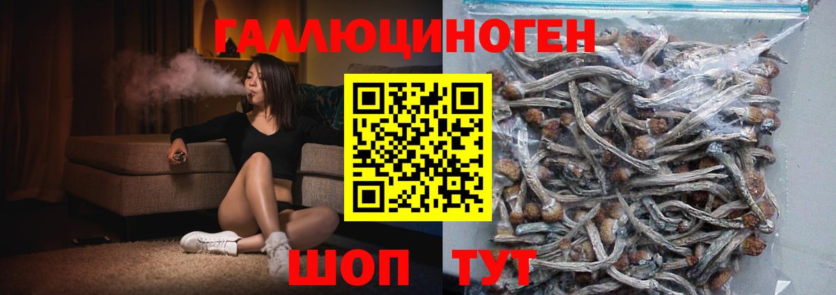 NBOMe Зима